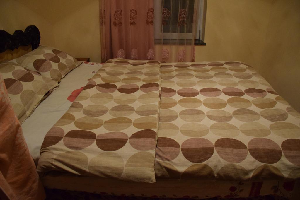 Medico And Suliko Guest House Kutaisi Ngoại thất bức ảnh