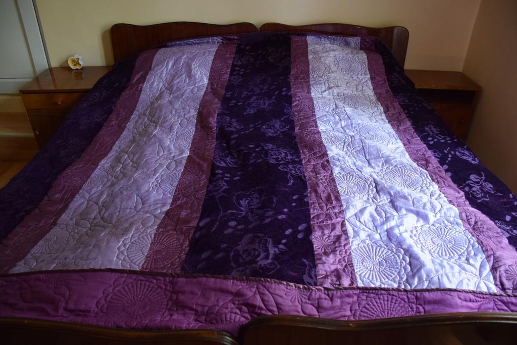 Medico And Suliko Guest House Kutaisi Ngoại thất bức ảnh