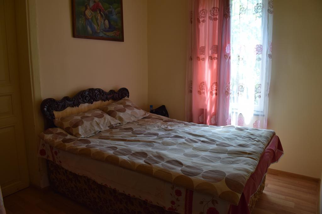 Medico And Suliko Guest House Kutaisi Ngoại thất bức ảnh
